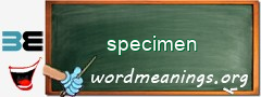 WordMeaning blackboard for specimen